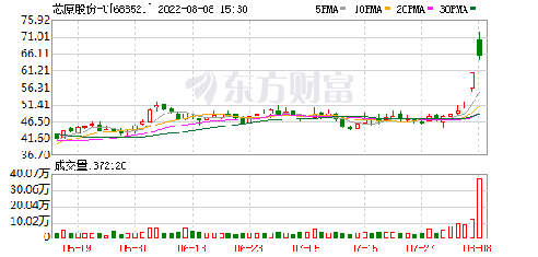 芯原股份最新动态，科技创新引领，塑造行业未来之路