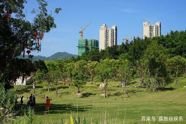 牛岗山公园，自然美景与独特体验