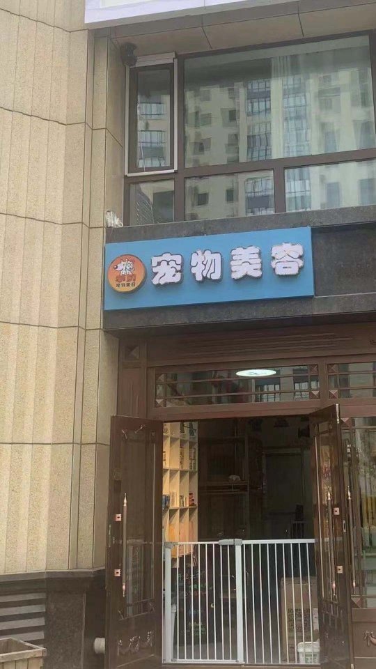 哈尔滨宠物美容店，时尚与专业的完美融合